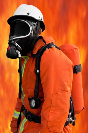 shutterstock_127635371_cropped