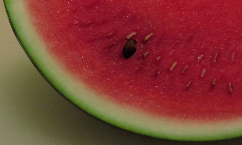 big-seed-slice_800x479