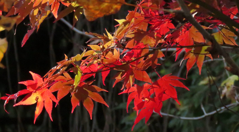 JM_2017-10-27_BKR_800x442