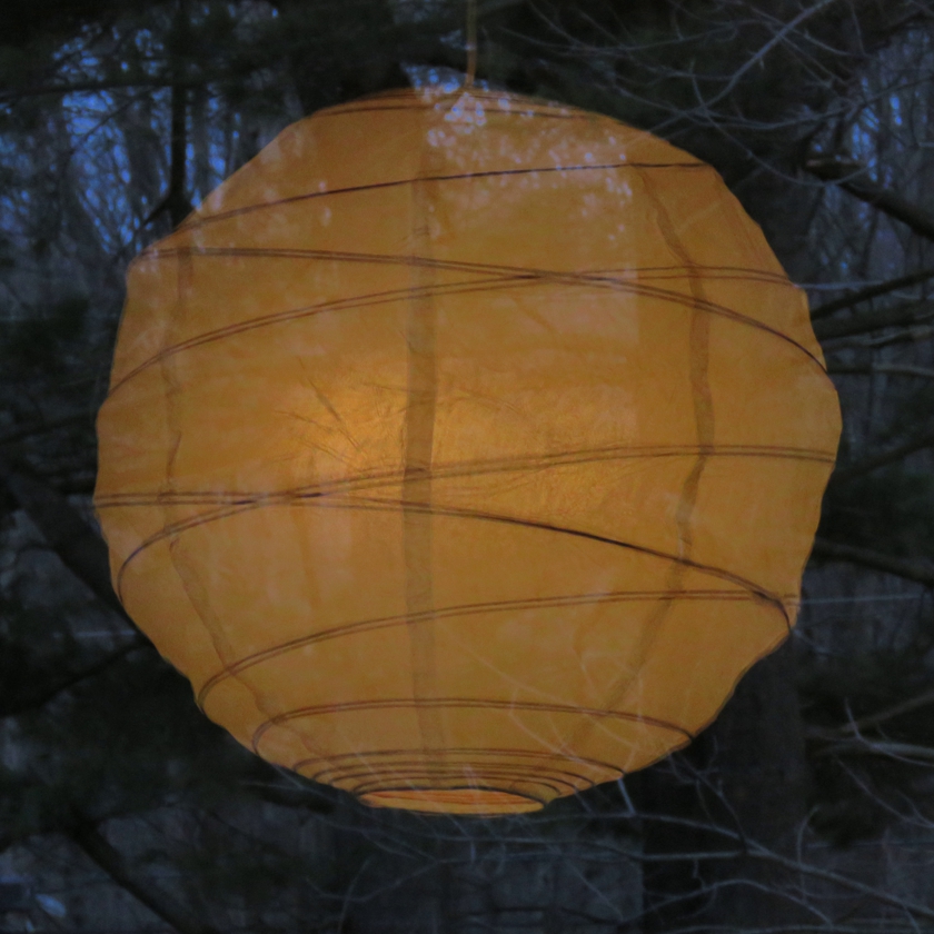 globe-pine-1_840x840