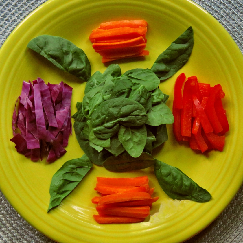 salad_ObRem_Y-10_840x840