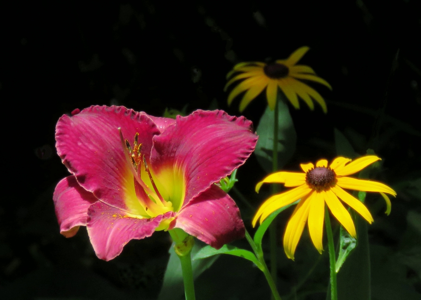 susie-dale-mama_840x598