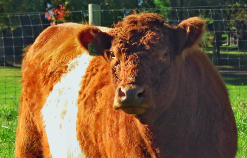 are-u-looking-at-me_840x537