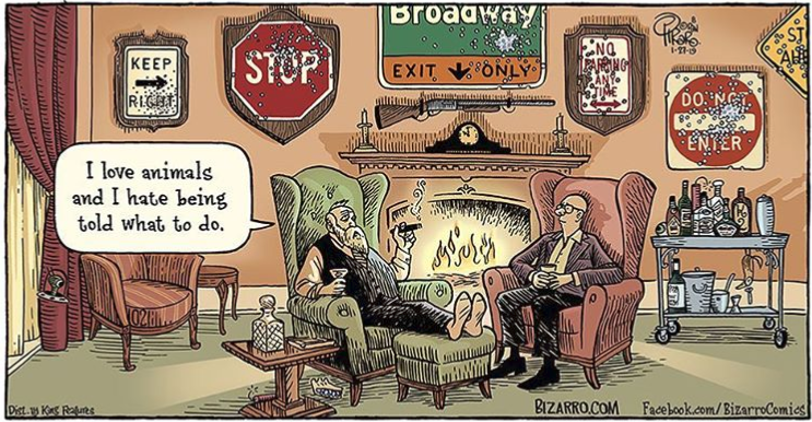 Bizarro_road-sign -tropies