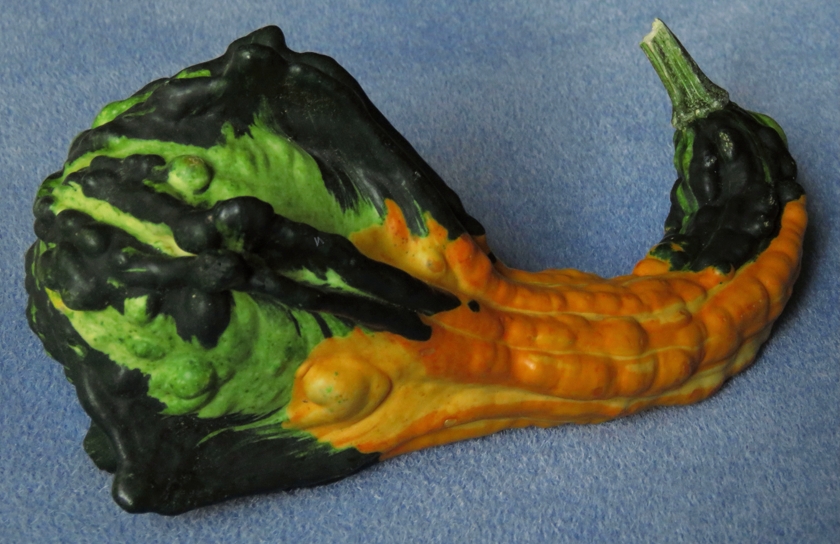 gourds-1#_840x544