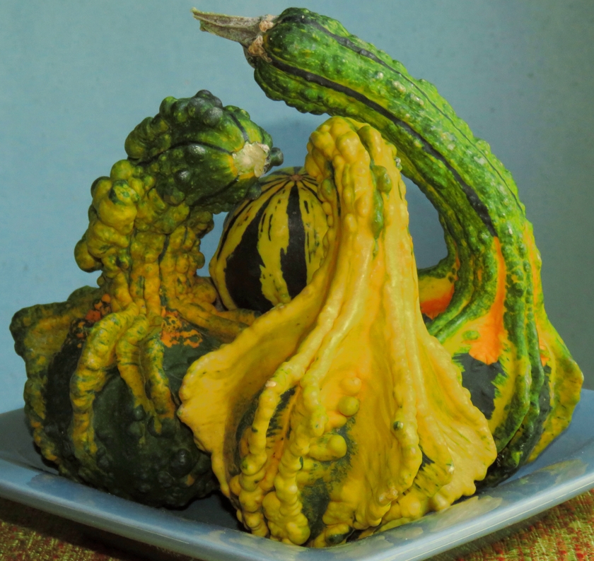gourds-4#_840x794