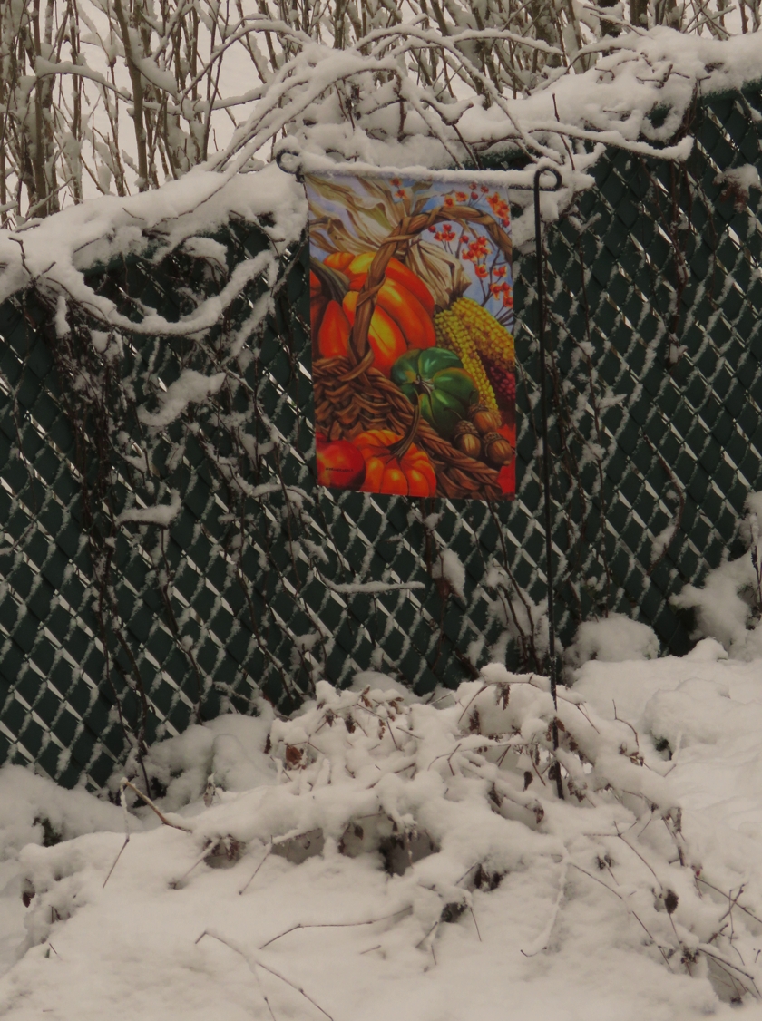 garden-flag-snow_840x1126
