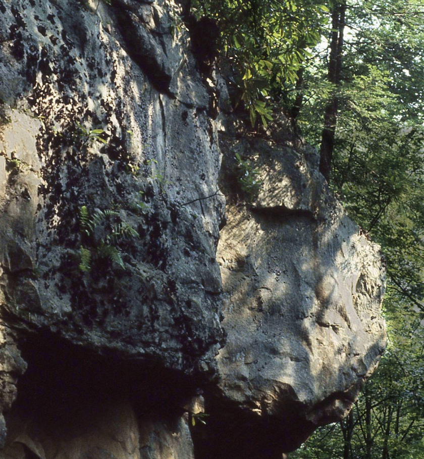 morose-monolith_crop_exp-14_exp-23_840x909