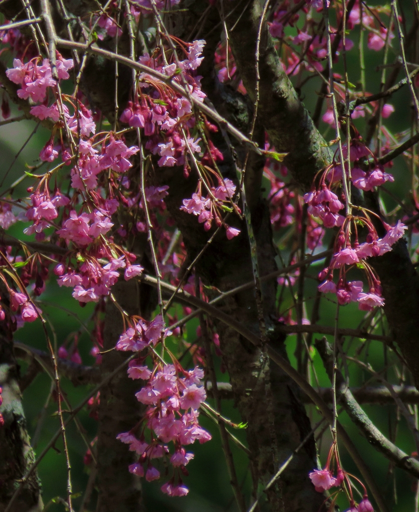 pink-green-vert_clone_840x1027