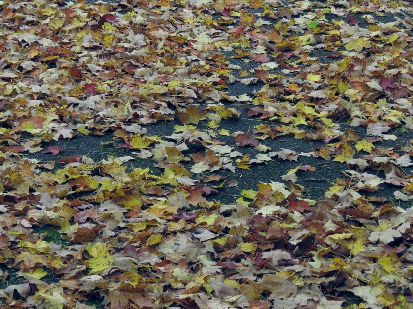 RakeMe_sat-10_temp-22_840x630