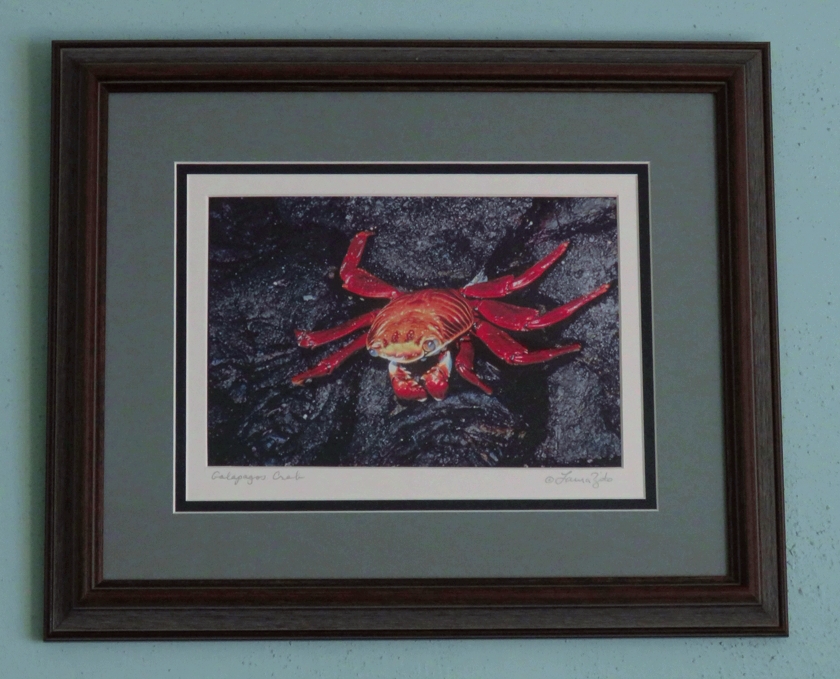 IMG_5153_crop_840x679_WB