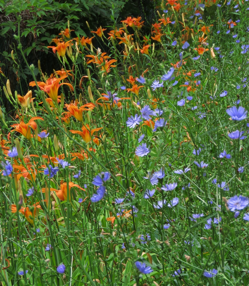 IMG_5468_crop_erase.5_840x965