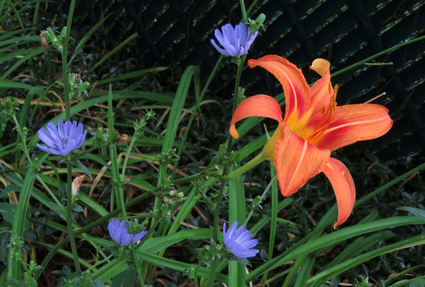 IMG_5479_rot-1.5_crop_840x569