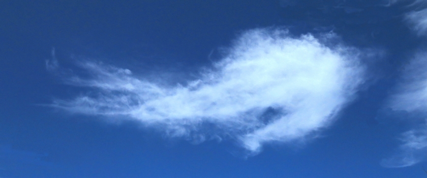 IMG_5728_Ex+28_crop_erase_crop_840x350