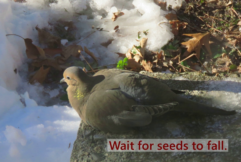 IMG_6302_crop+2_line+3_840x565