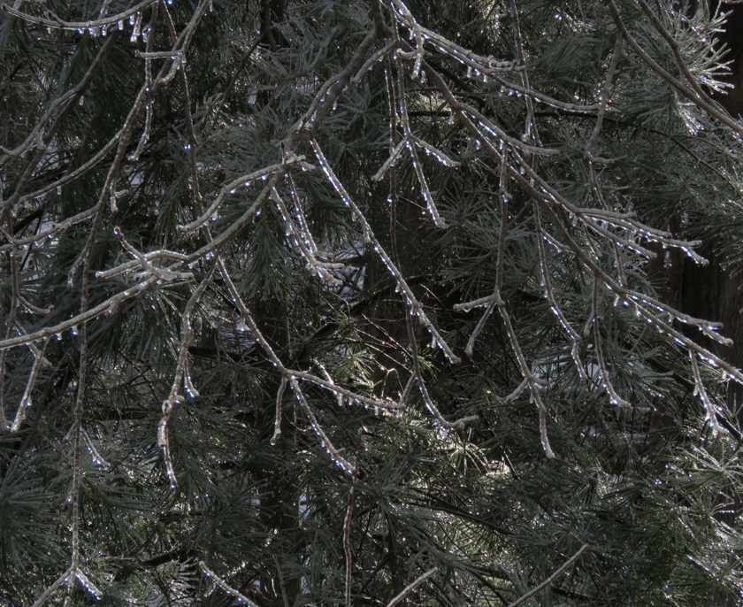 IMG_6384_crop_840x686