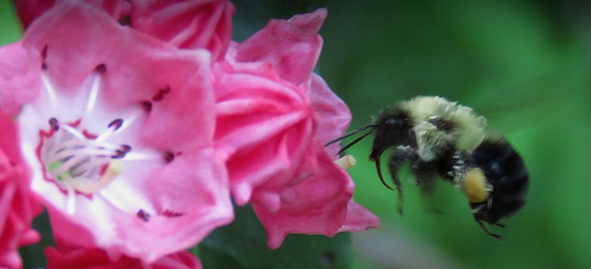 IMG_5389_crop_VignAE+10_crop_hilites-38_crop.1_stmp_840x383