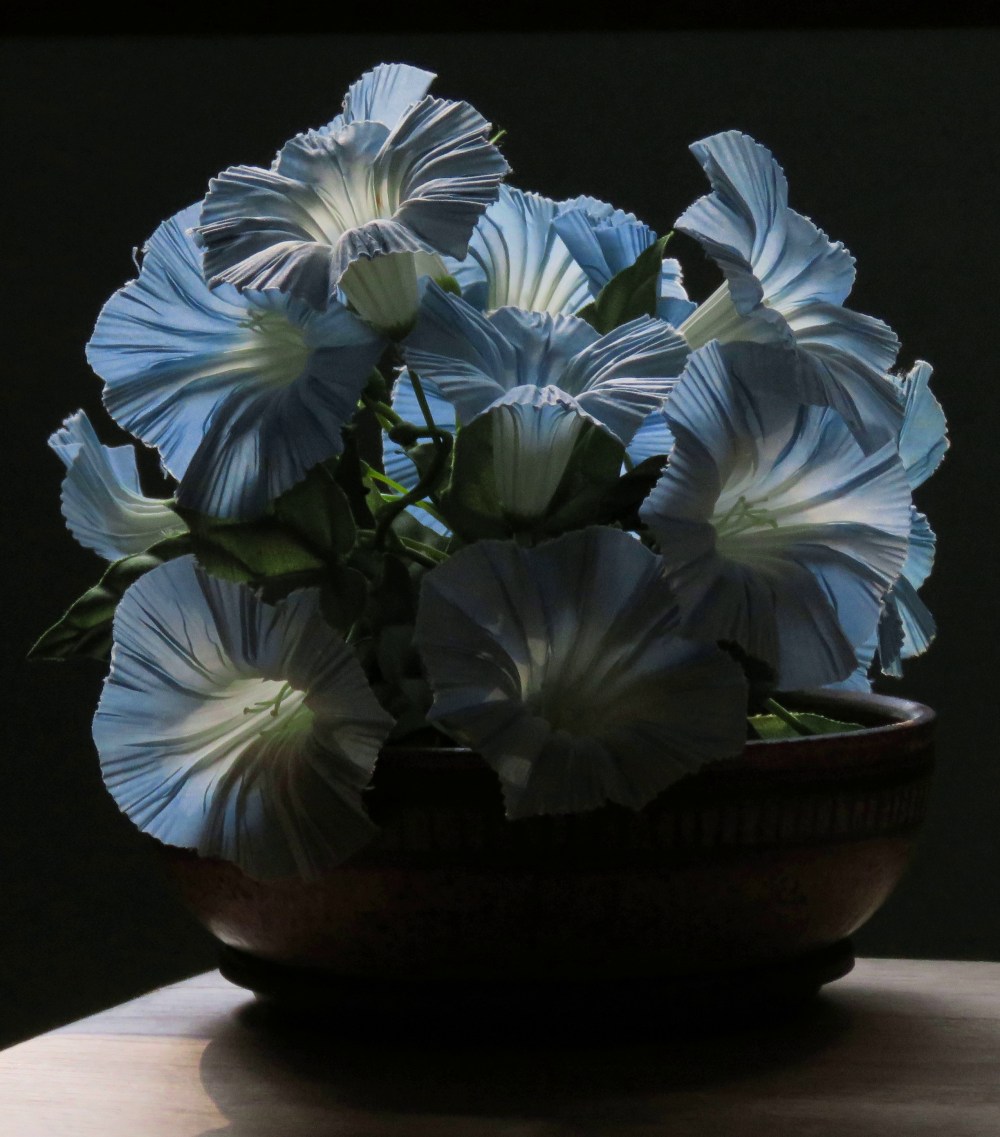 IMG_6683_crop_840x956