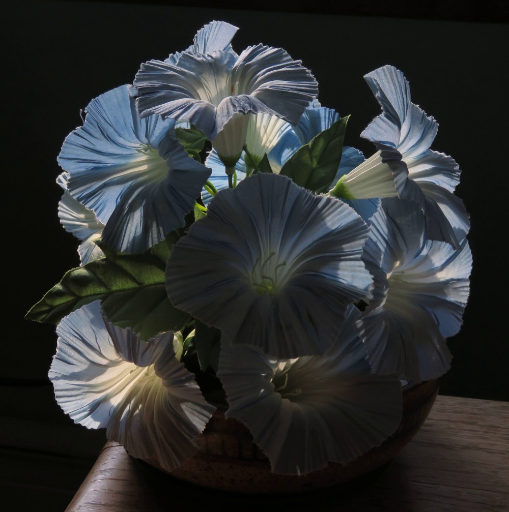 IMG_6689_crop_840x846