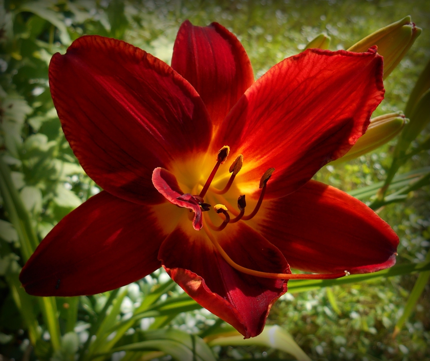 1_anzac_part-eclipse_840x705