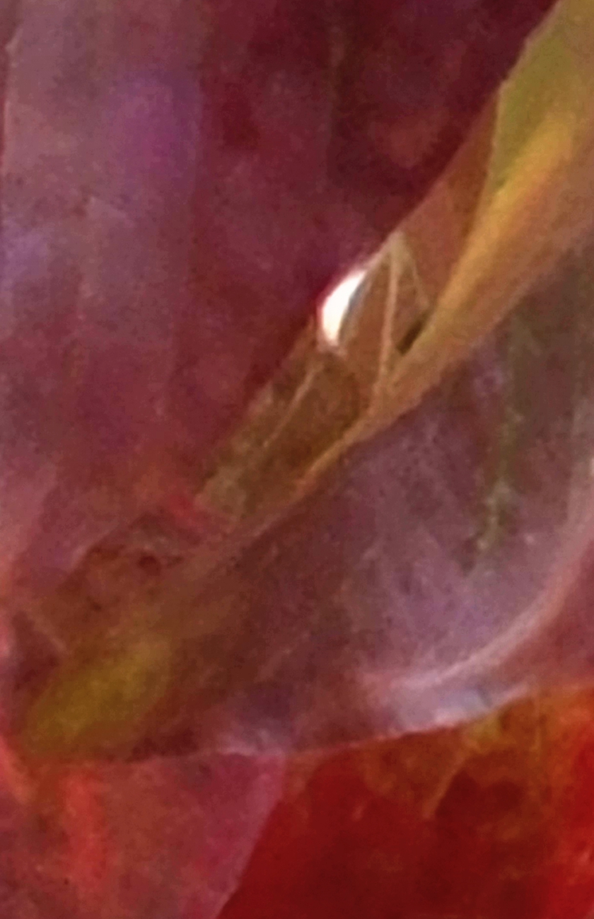 20211008_134716_resized_crop_dram+10_840x1299