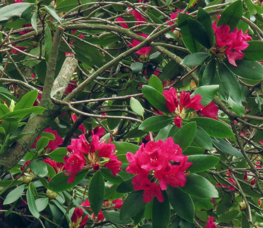 IMG_7656_crop_temp-26_840x731