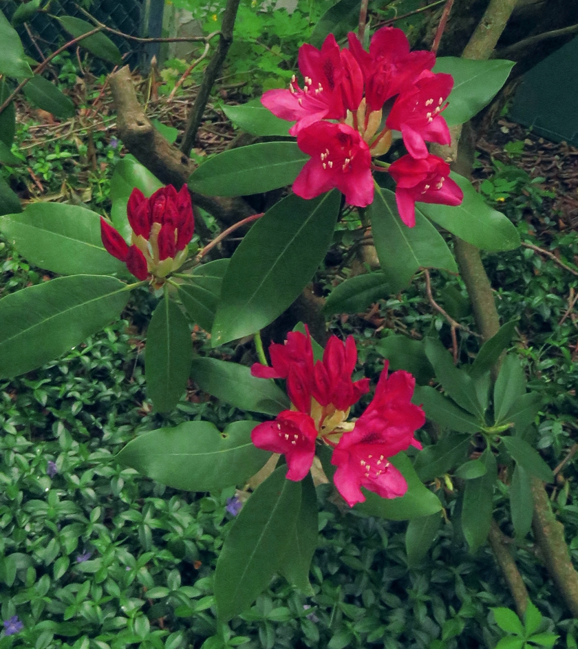 IMG_7662_crop_temp-26_840x943