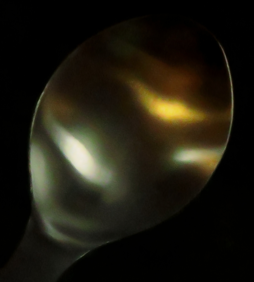 IMG_7694_rot+30_crop_denoise_840x933