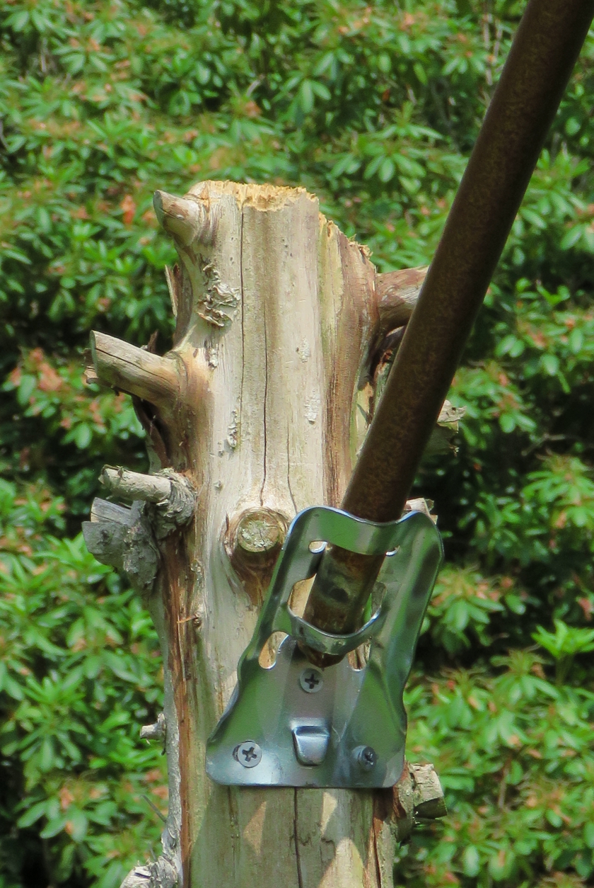 IMG_7739_flip_crop_840x1254