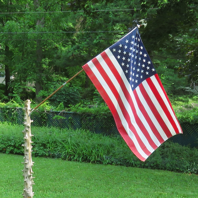 IMG_7742_rot-4.1_crop_flip_840x839