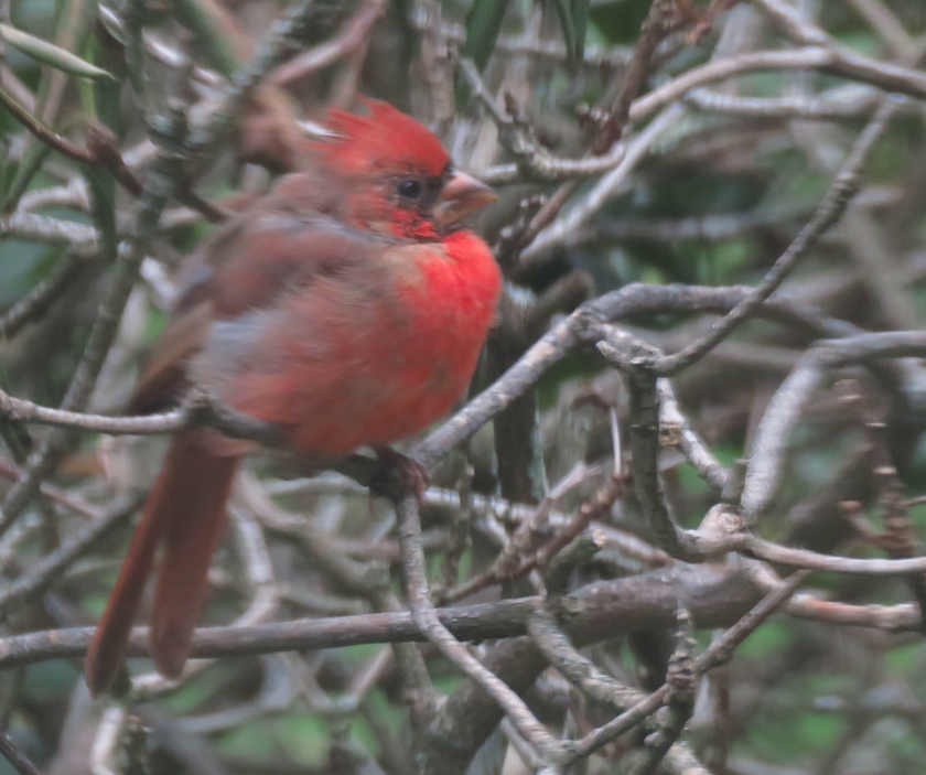 Look-Left-Blur_crop.1_840x703