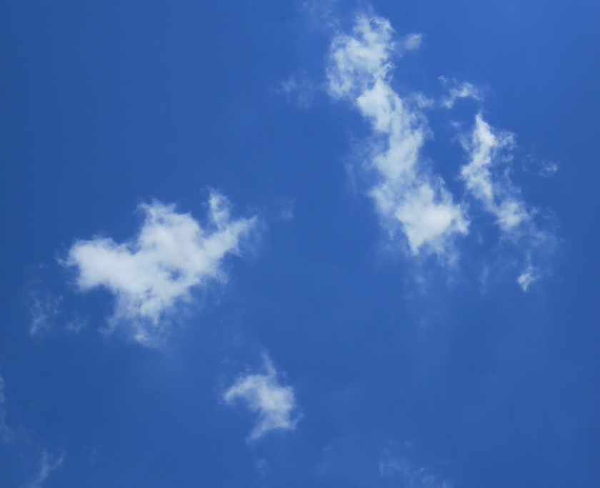 IMG_2165_crop.1_rem_840x684