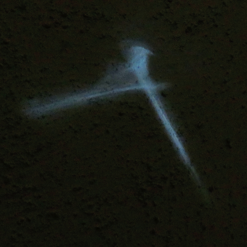 IMG_7969_dram+35_crop.sqr_840x840