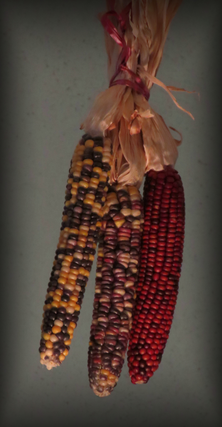 IMG_6908_crop_eclipse+14_840x1618