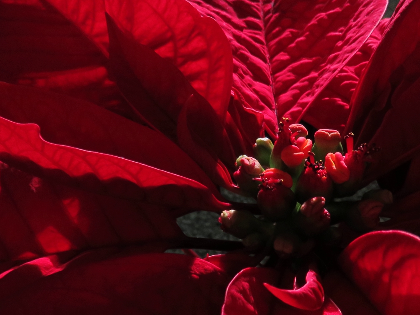 IMG_8172_blem_840x430