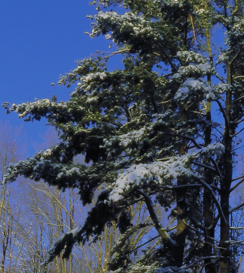 IMG_8262_WB_crop.1_840x940