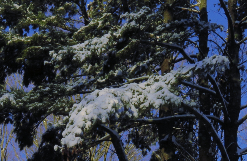 IMG_8265_WB_crop.1_840x546