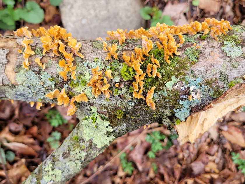 2024-04-11_crop.1_eras.1_840x630