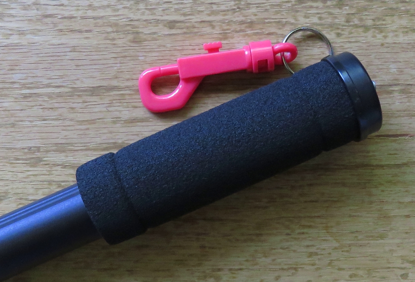 Monopod_crop.1_840x571