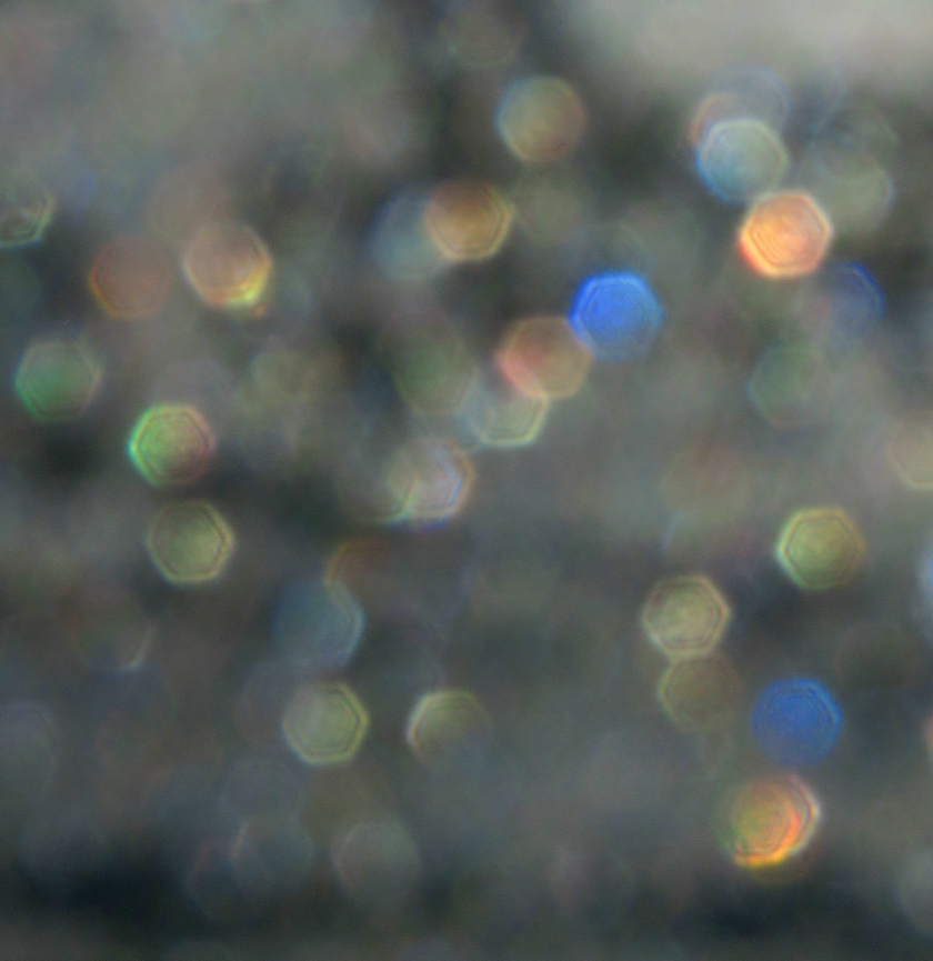 IMG_8812_rot-2.9_crop.1_dram+90_ blush.2_shine.1_crop.1_840x865